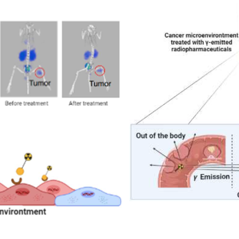 molecules-27-03062-g002